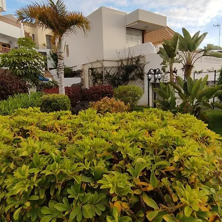 Geranios Lejlighed Costa Adeje (Tenerife)