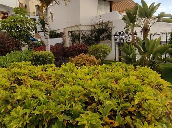 Geranios Διαμέρισμα Costa Adeje (Tenerife)